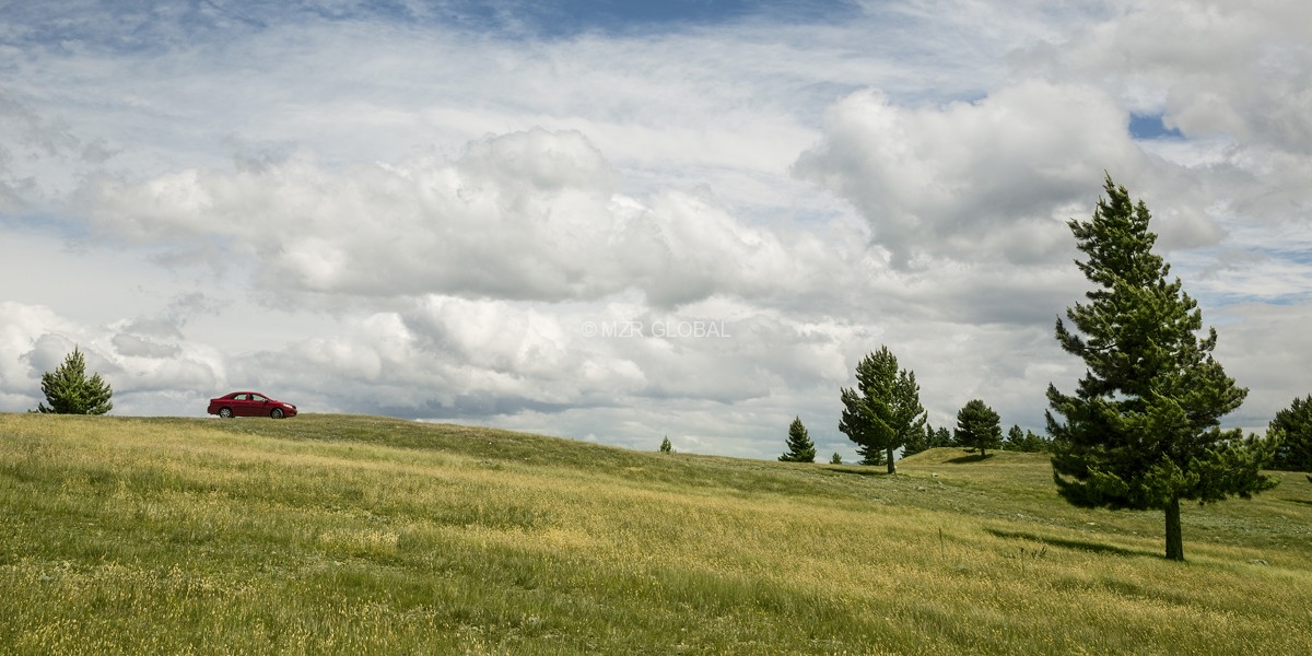 Landscape Series project image
